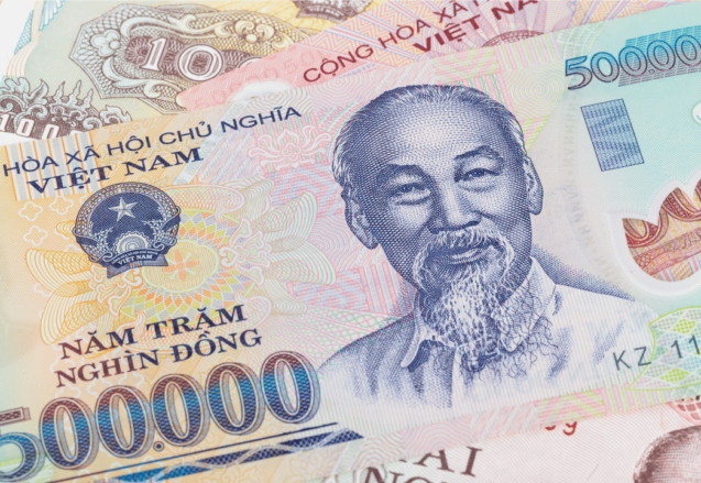 Build your website in Vietnam
