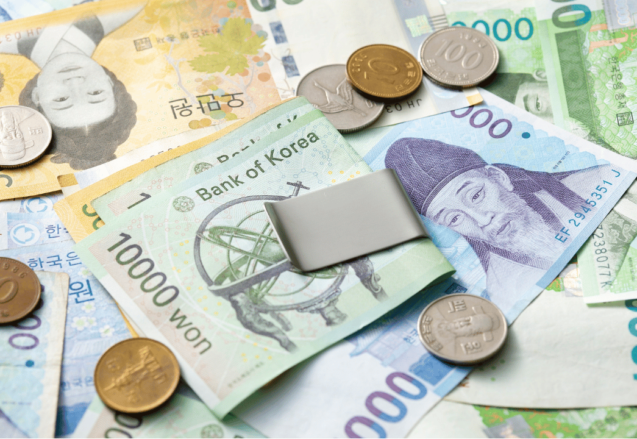Build your website in Korea